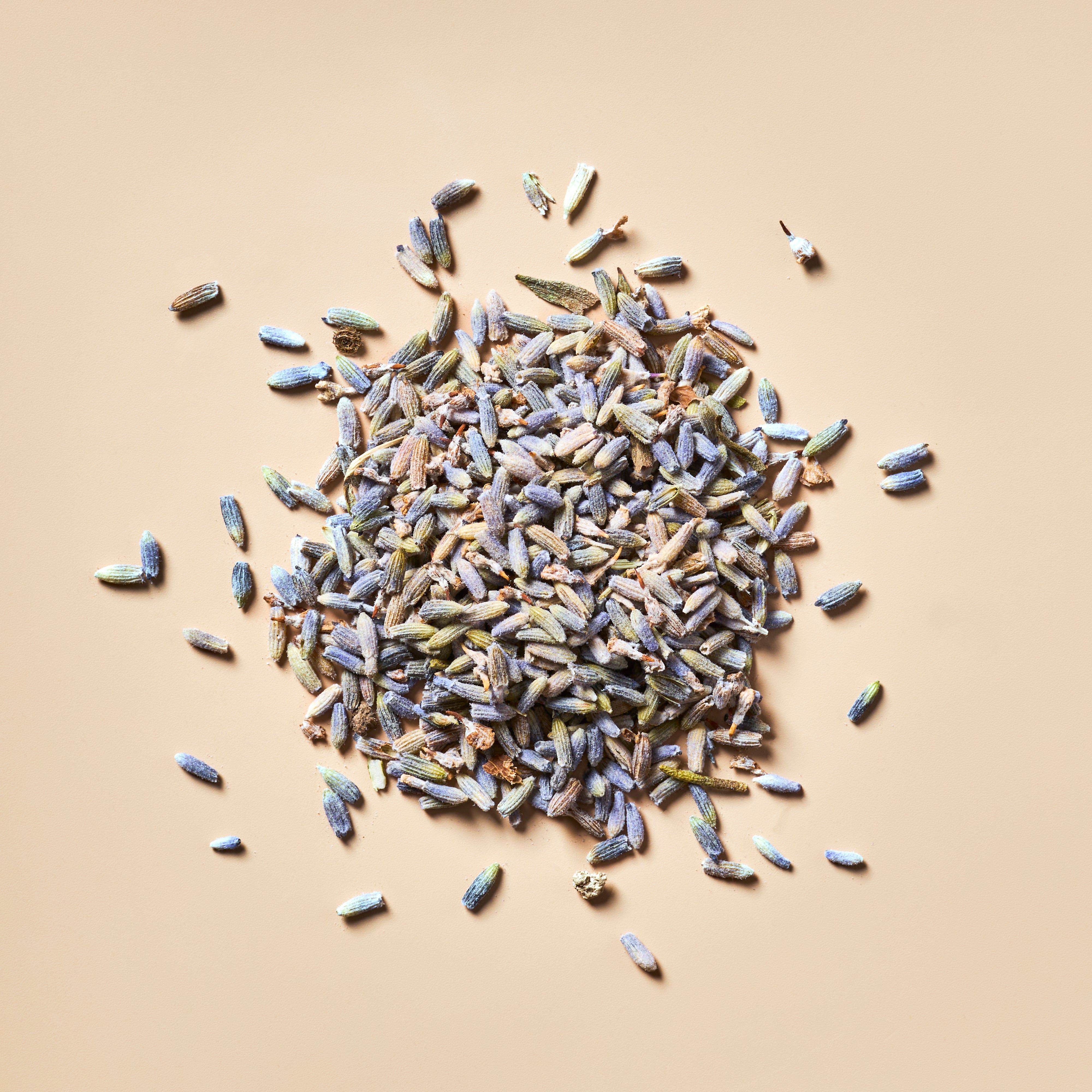 lavender seeds nearby Lavender Buds - Premium Botanical - Crafter's Choice - Herbs - for Soap &  Candle Making - 2 oz