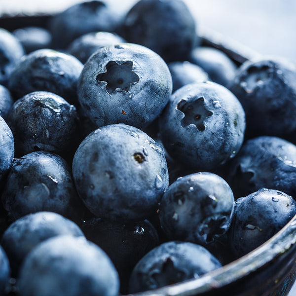 Blueberry Fragrance Oil 621 - Zoom Media 1