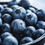 Blueberry Fragrance Oil 621 - Zoom Thumbnail Media 1