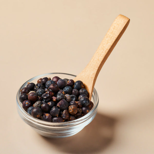 Juniper Berries (Blue) - Botanical - close-up
