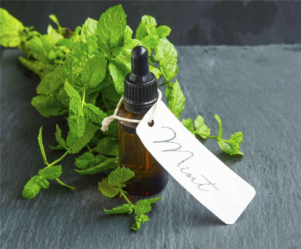 712-Purely-Peppermint-
