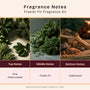Frasier Fir Fragrance Oil 311 - Zoom Thumbnail Media 2