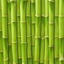 Fresh Bamboo Fragrance Oil 349 - Zoom Thumbnail Media 1