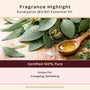 Eucalyptus (80/82) Essential Oil - 100% Pure 705