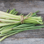 Citronella Essential Oil - 100% Pure 703