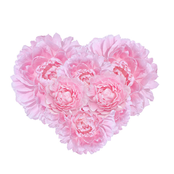 A Mother's Love Fragrance Oil 252