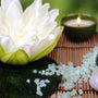 Bamboo Lotus Fragrance Oil 117