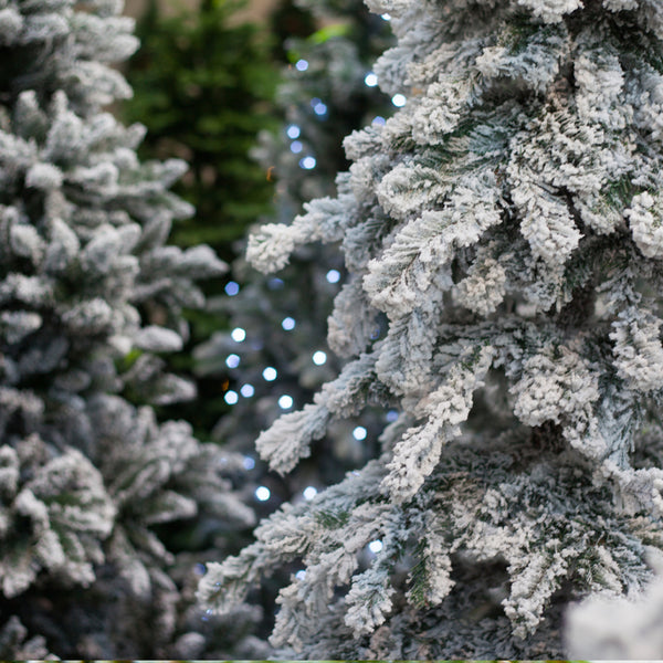 Santa's Tree Farm Fragrance Oil 529