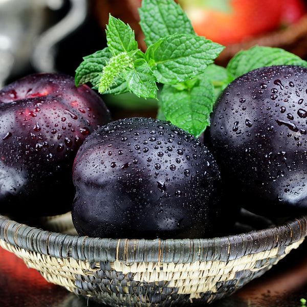 Sparkling Plum Fragrance Oil 230