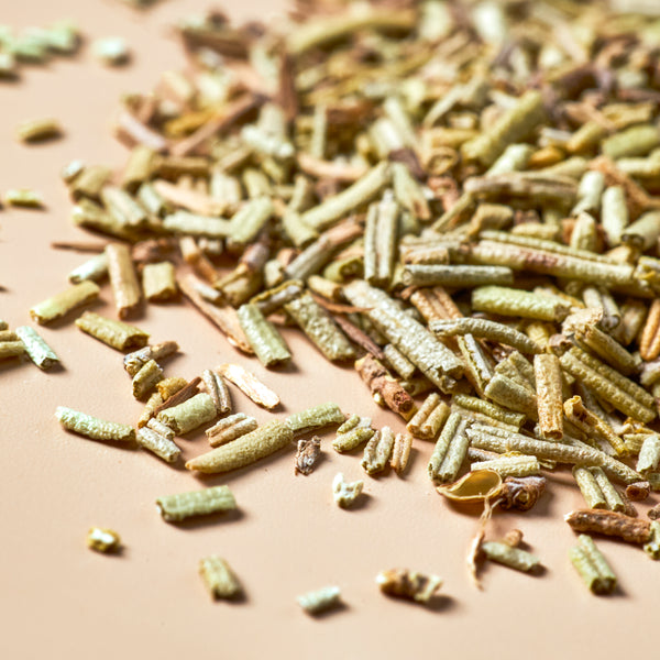 Rosemary - Botanical