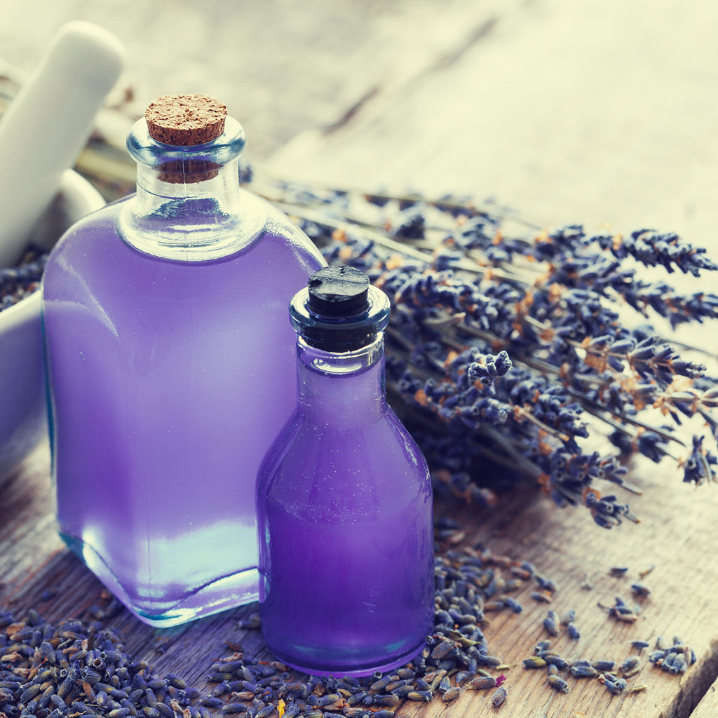 Fabuloso Lavender* Fragrance Oil 386 - Crafter's Choice