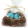 Robin Egg in Nest Bath Fizzie Kit