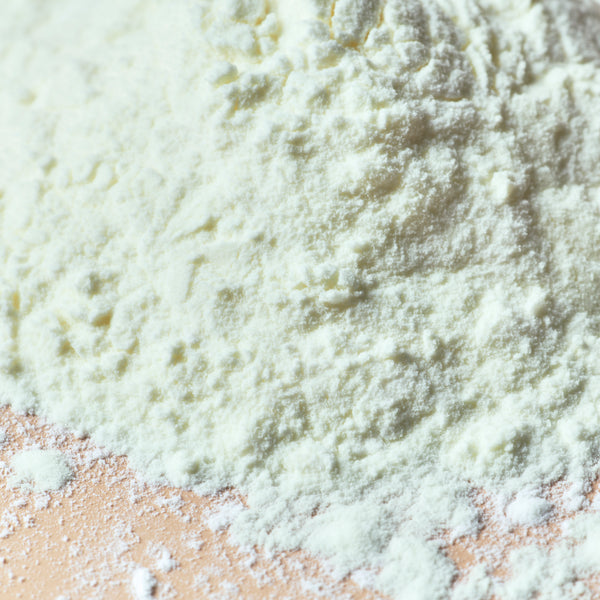 Yogurt Powder - close-up