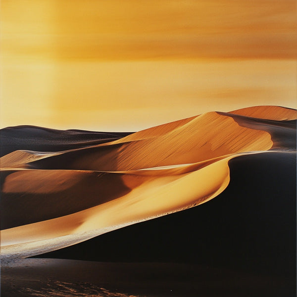 Caramel Sands Fragrance Oil 416