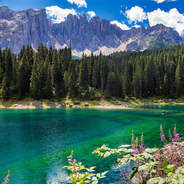 Emerald Waters Fragrance Oil 337