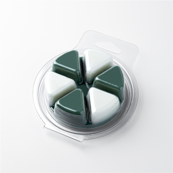 Pie-Shaped Clamshell Mold with Hinged Lid