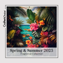 Spring & Summer 2025 Fragrance Oil Collection