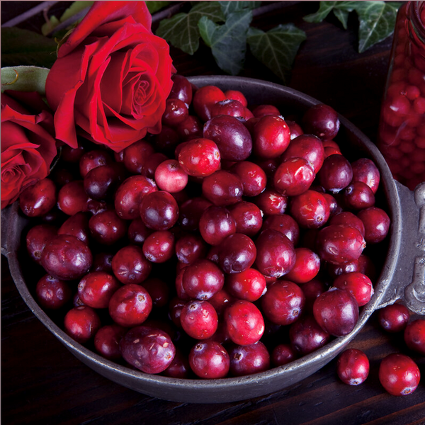 Sugared Rose Petals Fragrance Oil 1123