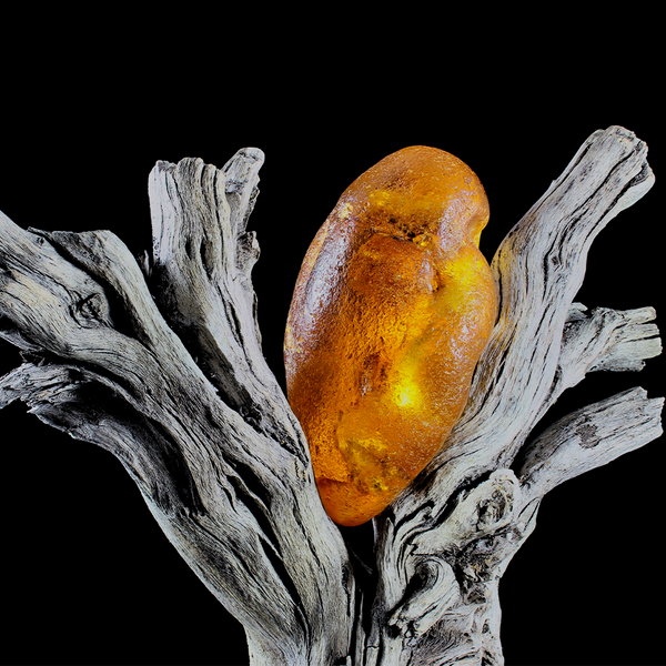 Amber & Oakmoss Fragrance Oil 544