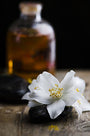 Angel Baby Fragrance Oil 14912