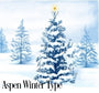 Aspen Winter Fragrance Oil 19791