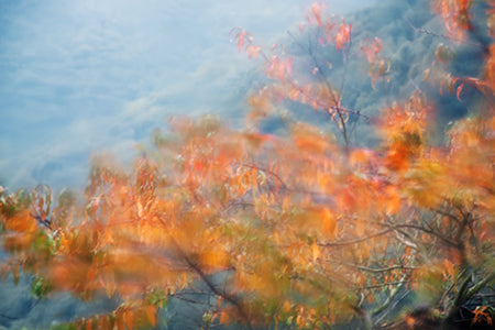 Autumn Rain Fragrance Oil 14968