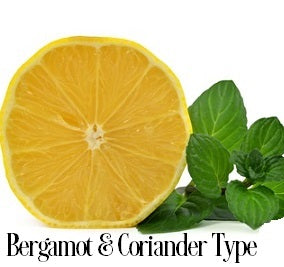 Bergamot & Coriander Fragrance Oil 19817 - Zoom Media 1