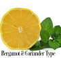 Bergamot & Coriander Fragrance Oil 19817 - Zoom Thumbnail Media 1