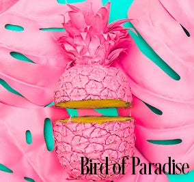 Bird of Paradise Fragrance Oil 19825