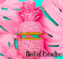 Bird of Paradise Fragrance Oil 19825