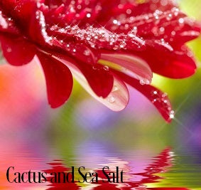 succulent fragrance oil Cactus & Sea Salt Fragrance Oil 19873 - Just Scent - Fragrance Oils - for  Soap & Candle Making - 1 fl oz