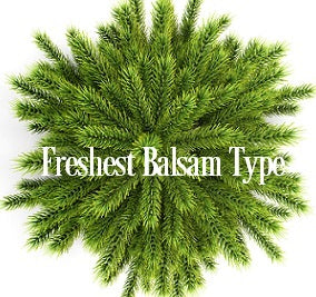 Freshest Balsam Fragrance Oil 20021