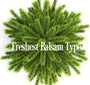 Freshest Balsam Fragrance Oil 20021