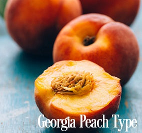Georgia Peaches* Fragrance Oil 20034