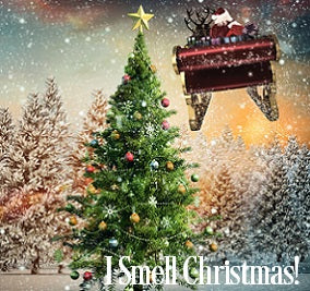 I Smell Christmas Fragrance Oil 20075