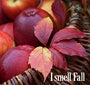 I Smell Fall Fragrance Oil 20076 - Zoom Thumbnail Media 1