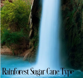 Rainforest Sugarcane Fragrance Oil 20253 - Zoom Media 1