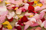 Rustic Rose Fragrance Oil 16069 - Zoom Thumbnail Media 1