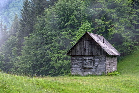 Silver Birch & Vetiver Fragrance Oil 16118