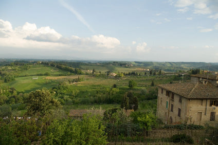Tuscan Fields Fragrance Oil 17001