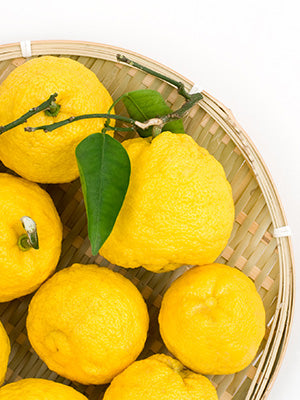 Yuzu Fragrance Oil 17208