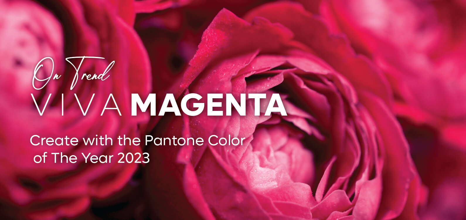 New Viva Magenta Trends