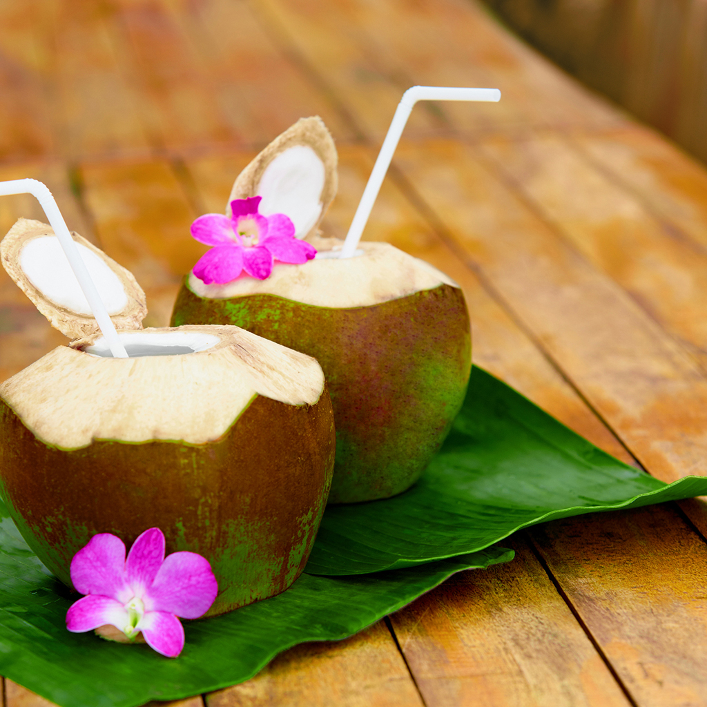 Hawaiian Coconut Fragrance Oil 171