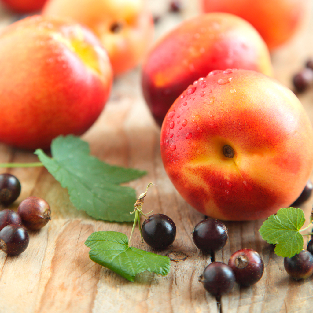 Nectarine & Wild Berries Fragrance Oil (Special Or