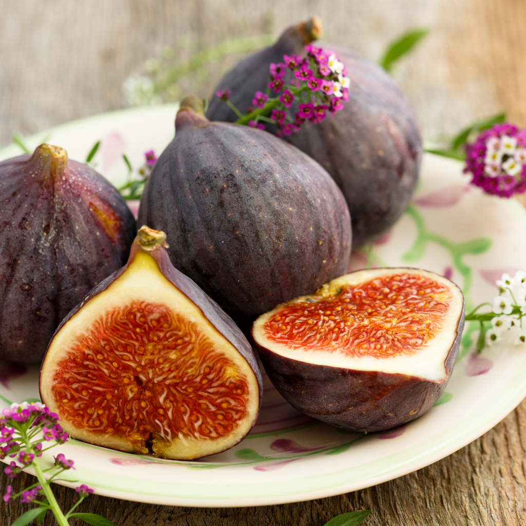 Bayberry Fig Fragrance Oil (Special Order)