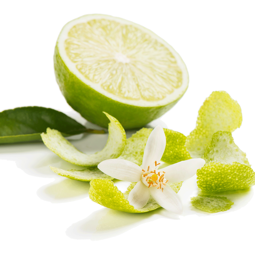 Lime Blossom & Jasmine - Natural FO 1096