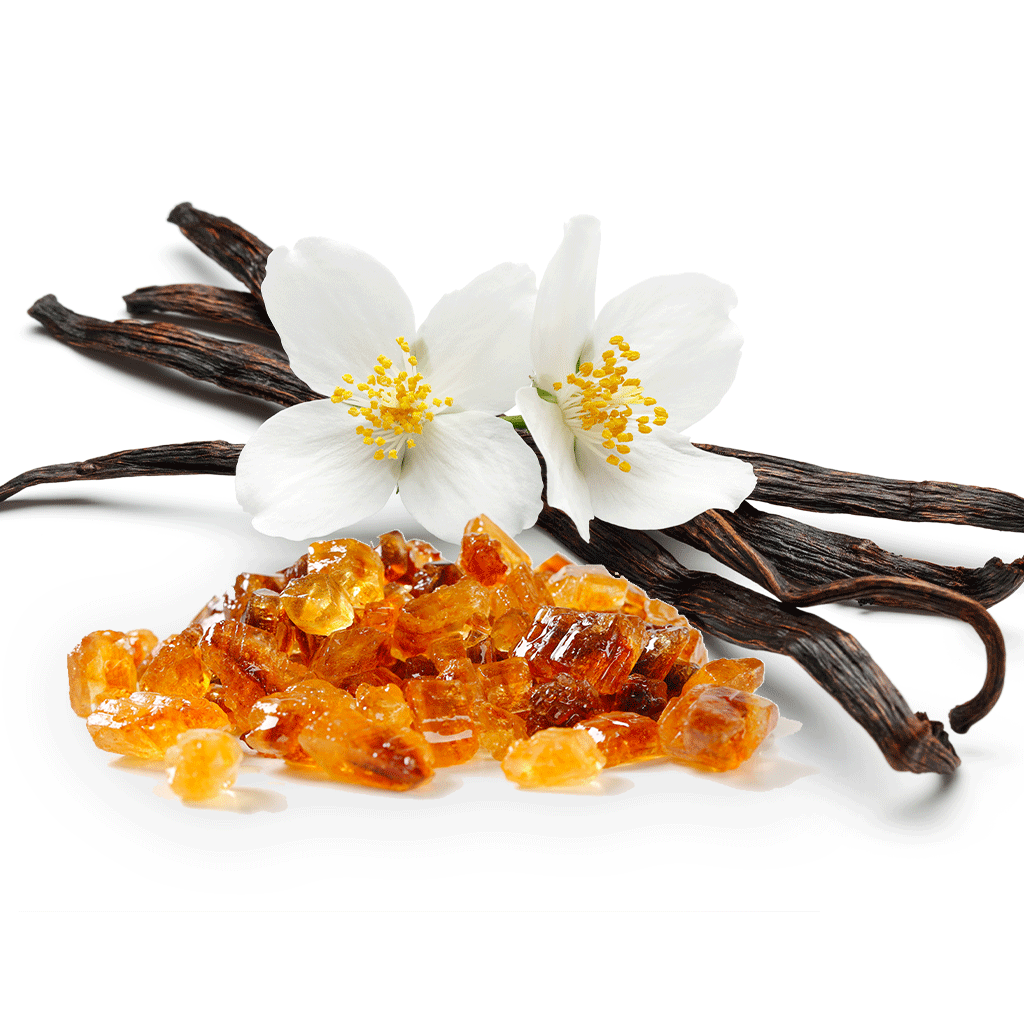 Amber & Vanilla Blossom Fragrance Oil 1142