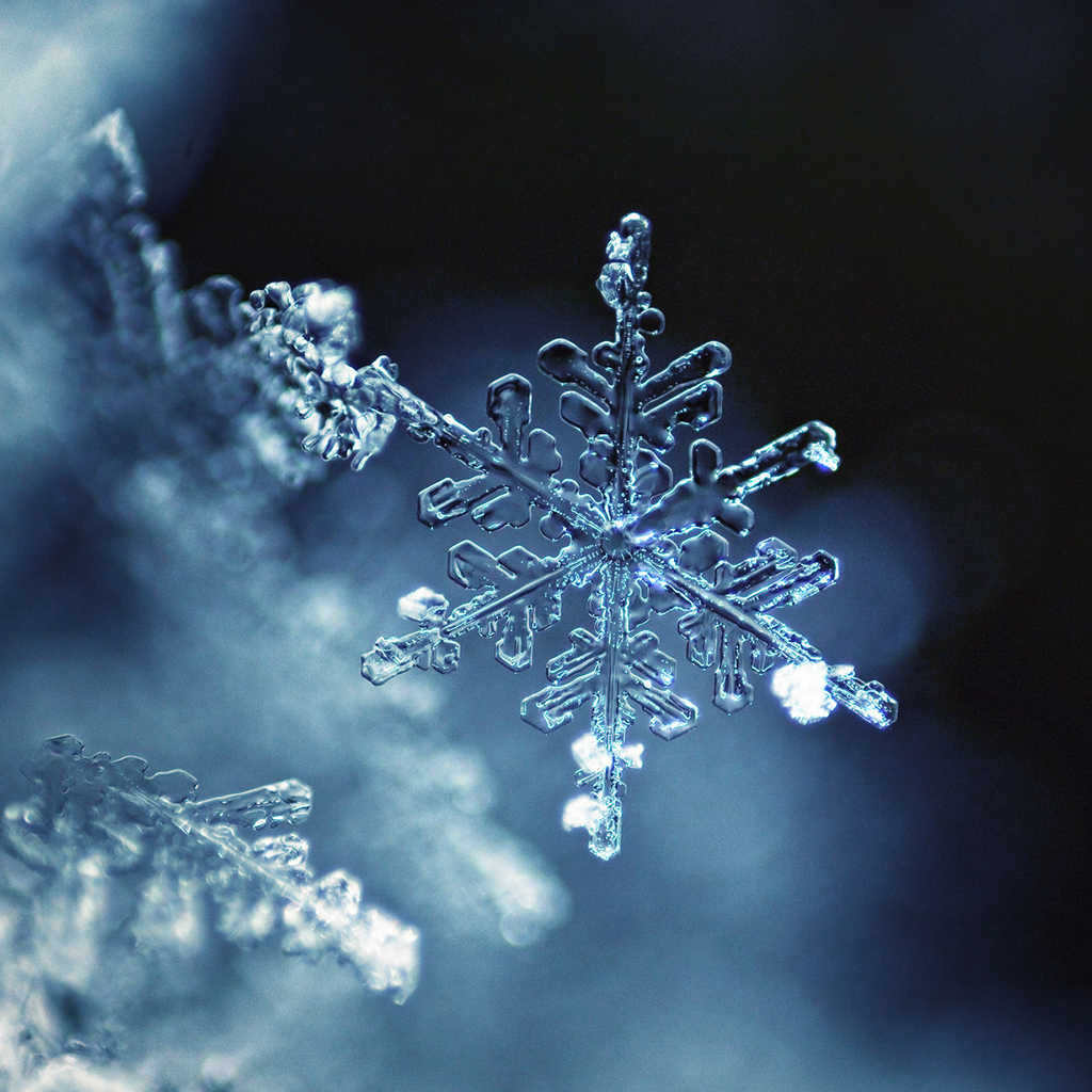 Snowflake Mini Silicone Mold - Wholesale Supplies Plus