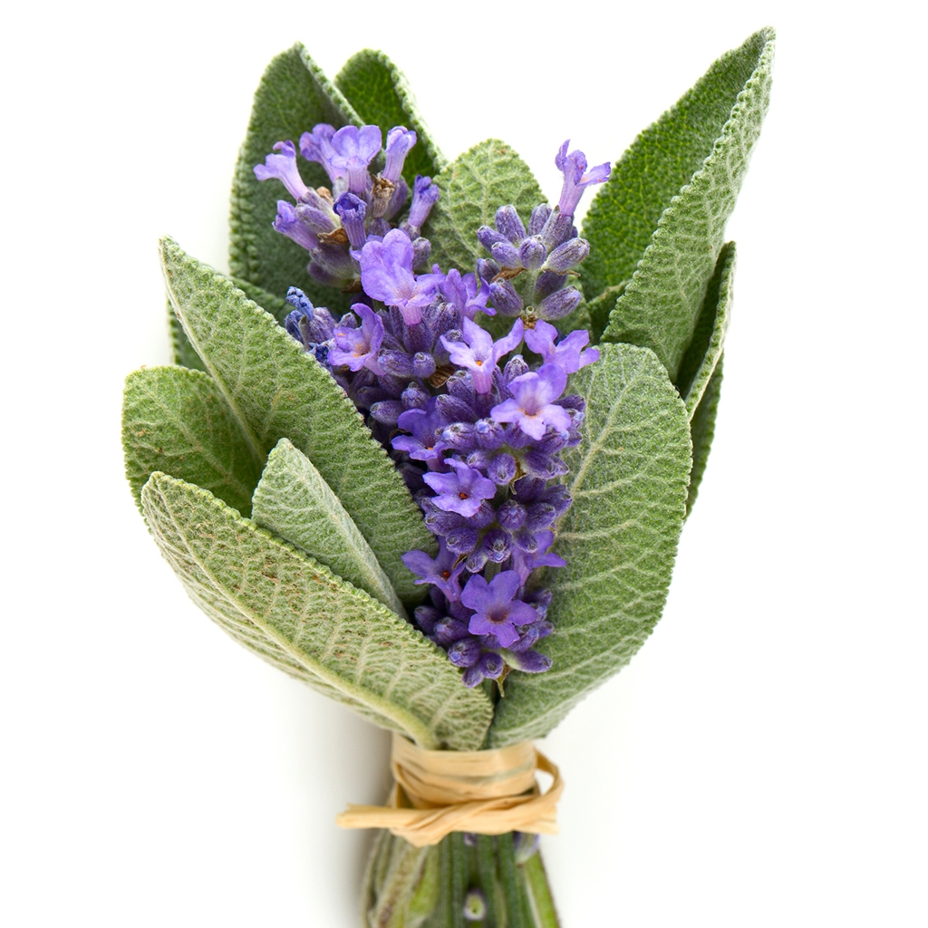 Lavender Sage* Fragrance Oil 622