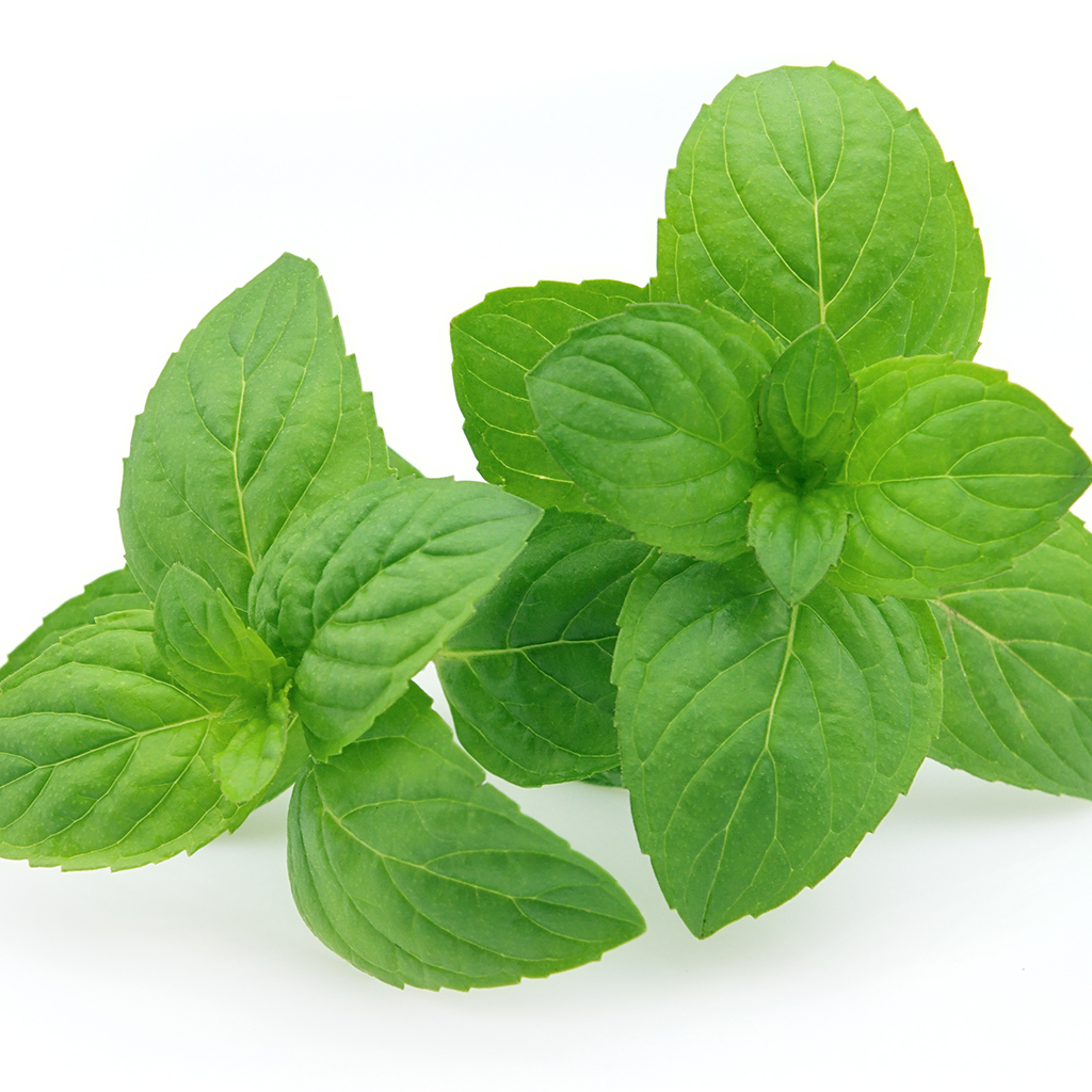 Peppermint (Redist) EO - Certified 100% Pure 699